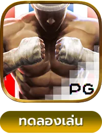 Muay Thai Champion